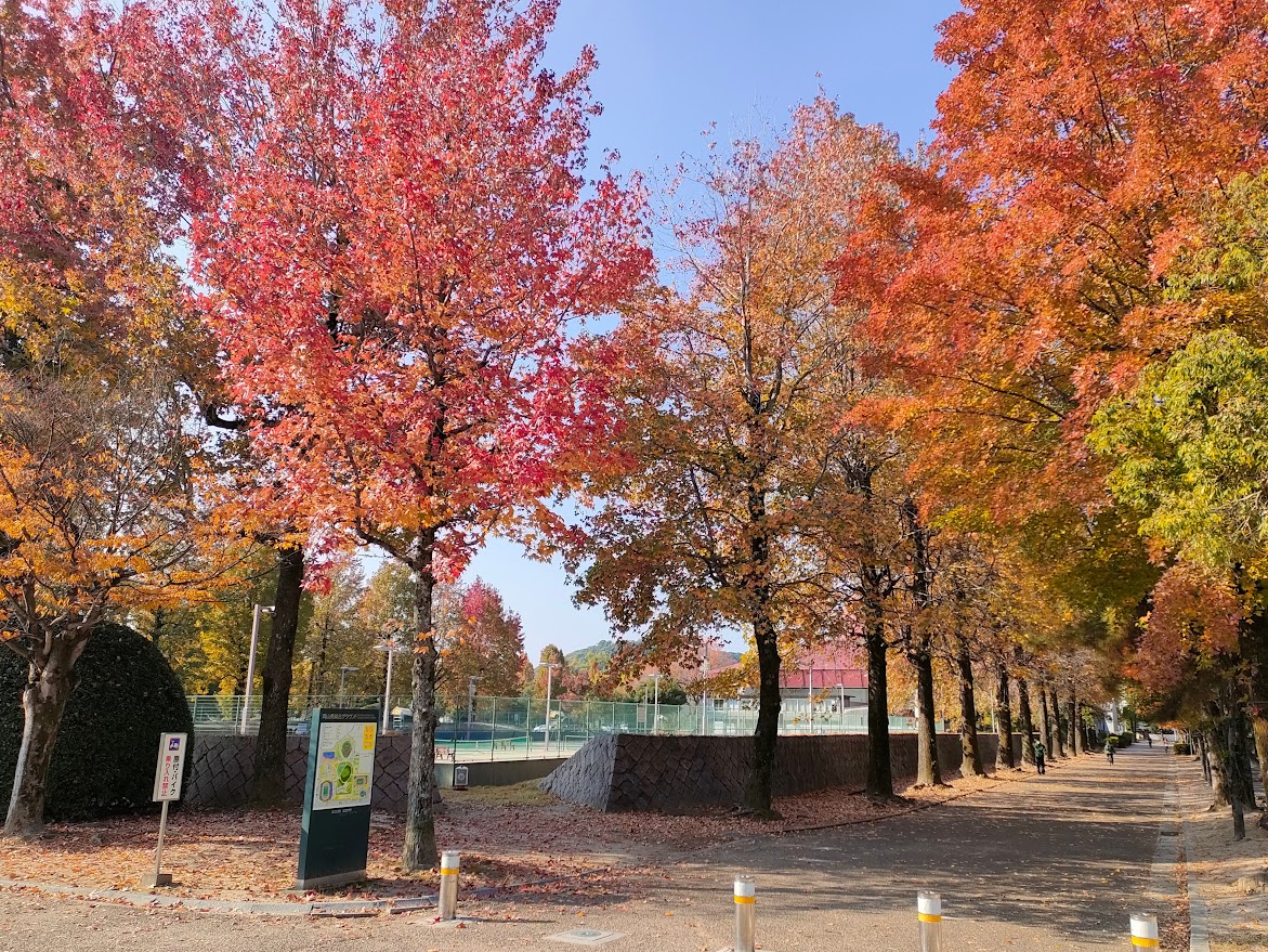 岡山県総合グラウンド