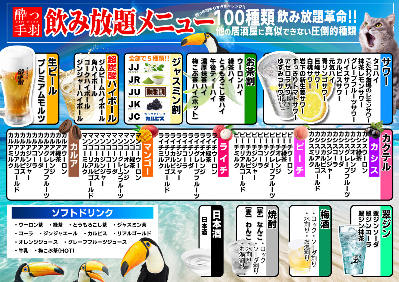 居酒屋革命 酔っ手羽