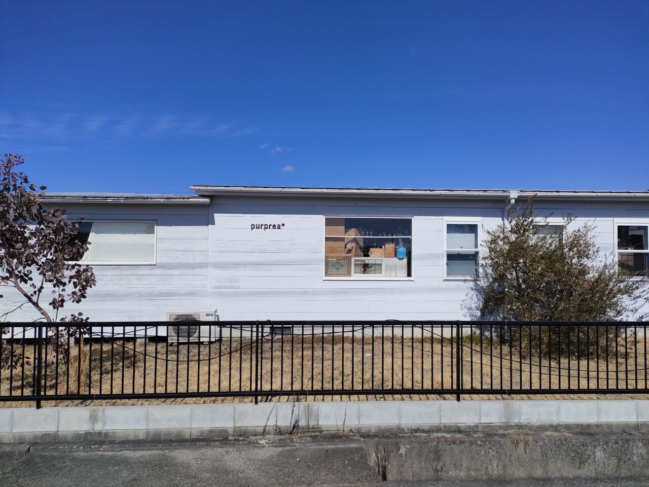 natural garden purprea