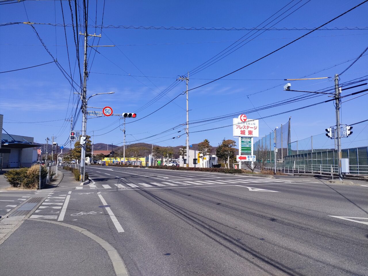 natural garden purprea