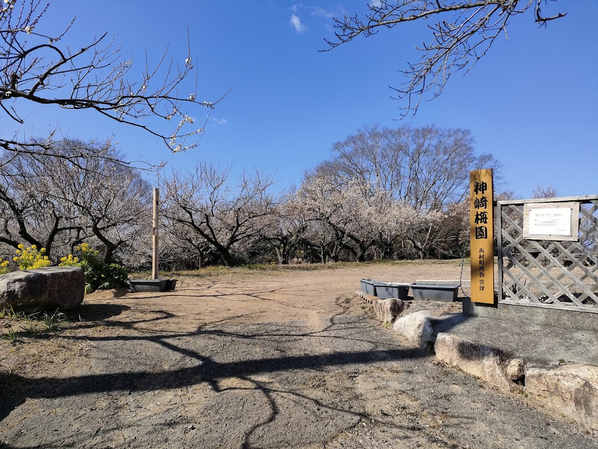 「神崎緑地公園・神崎梅園」梅まつり
