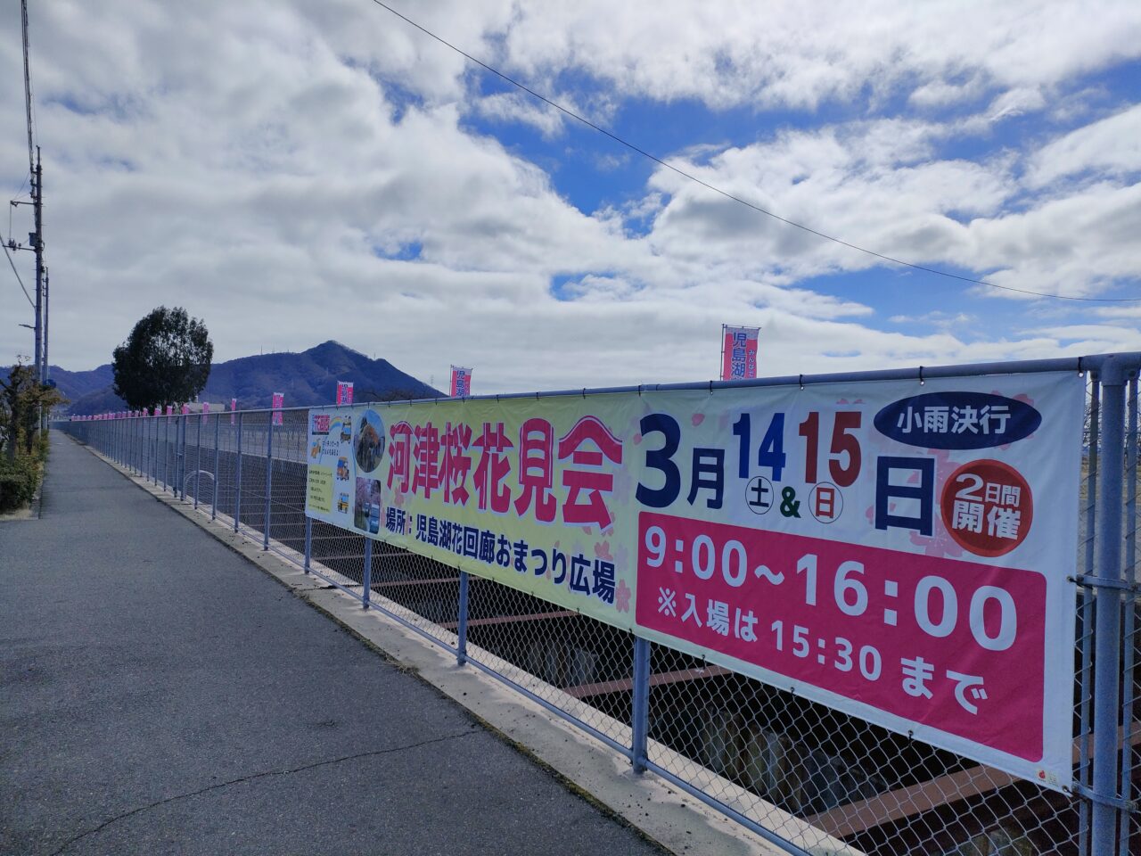 花回廊河津桜見学会