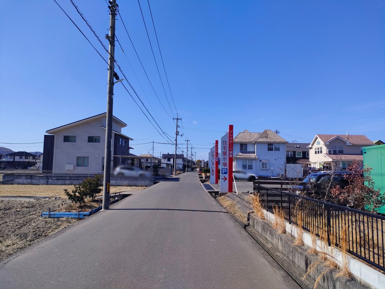 natural garden purprea