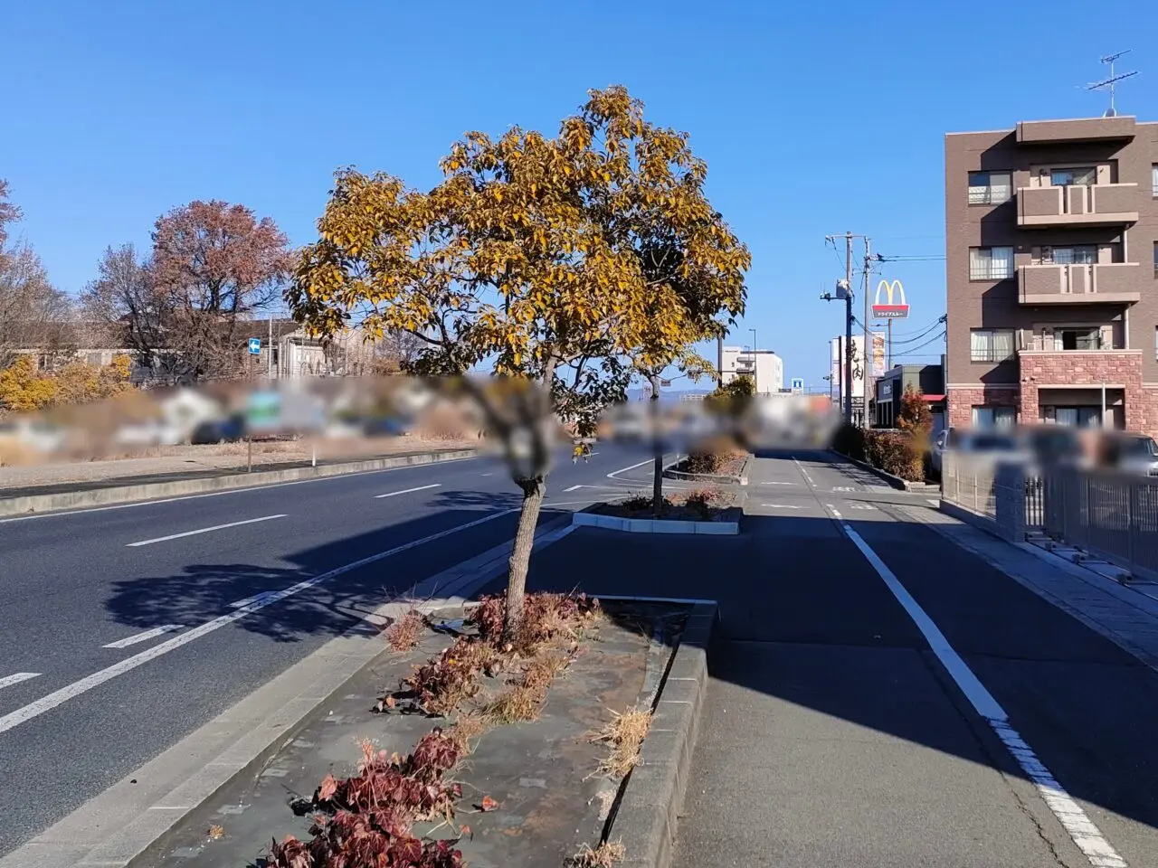 D-Wash岡山西バイパス店