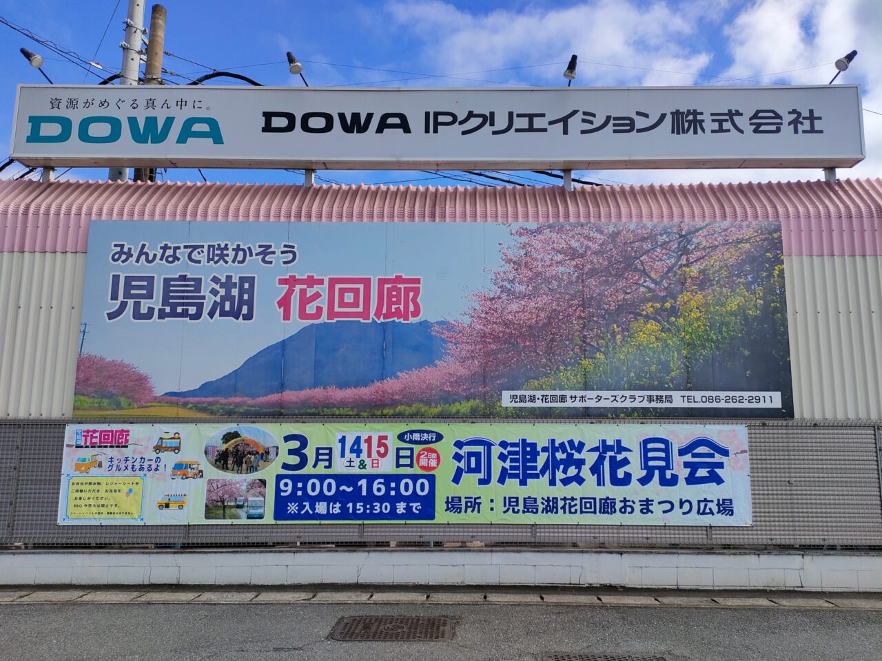 花回廊河津桜見学会