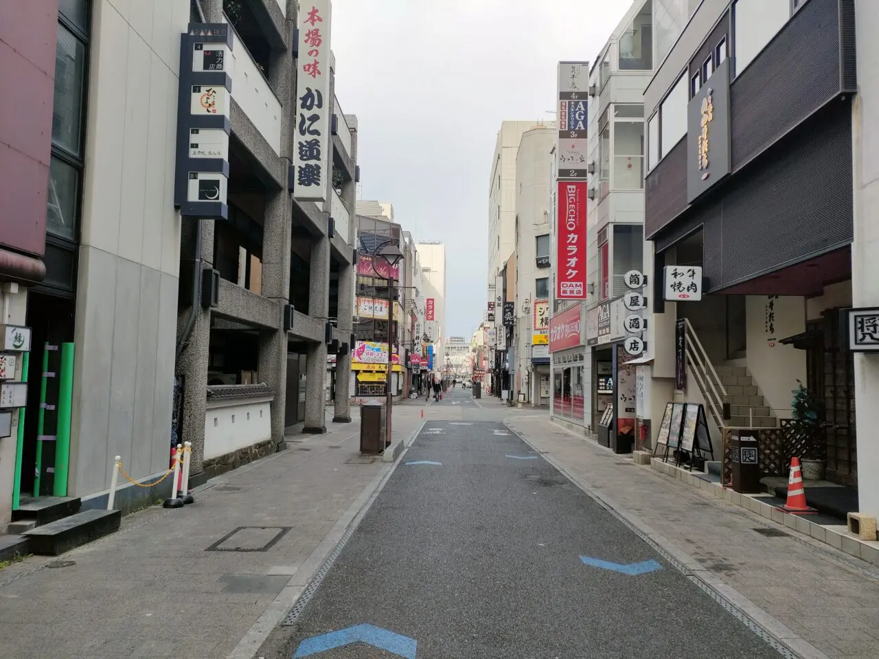 カラオケ ビッグエコー岡山本町通り店