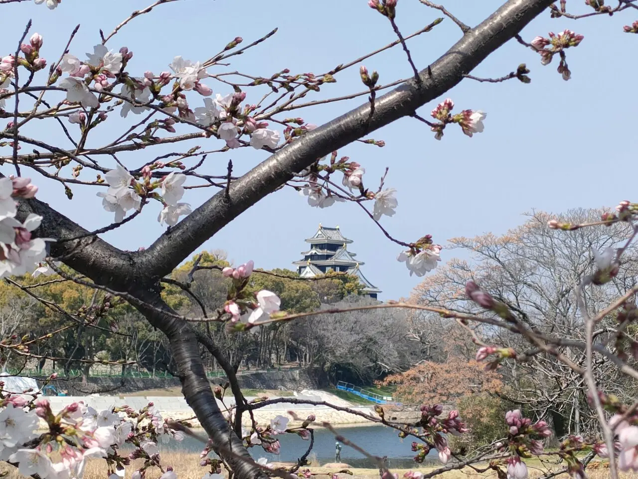 岡山さくらカーニバル2026