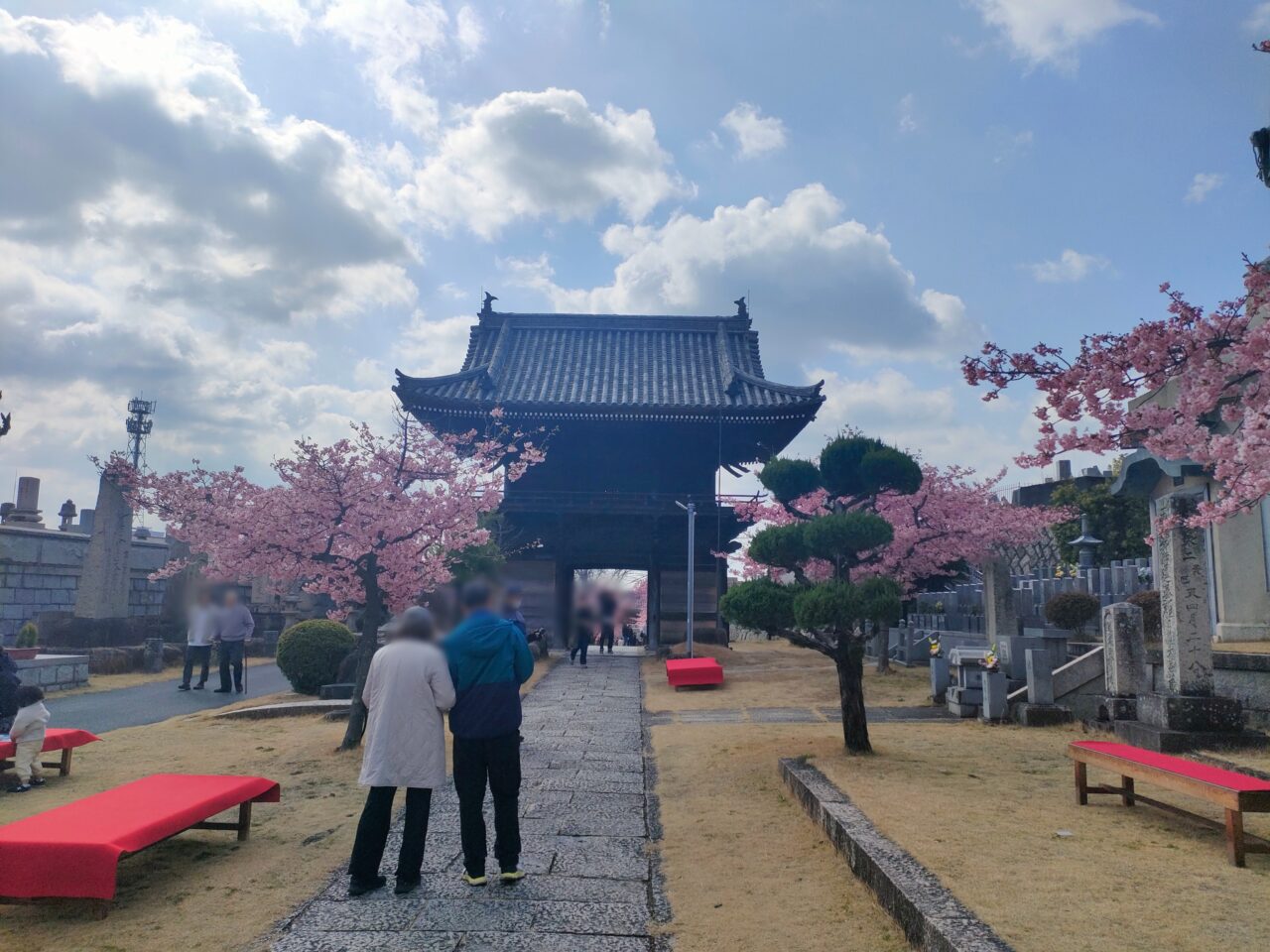 妙林寺 河津桜まつり