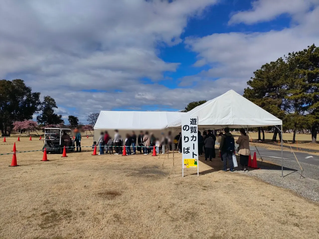 花回廊河津桜見学会