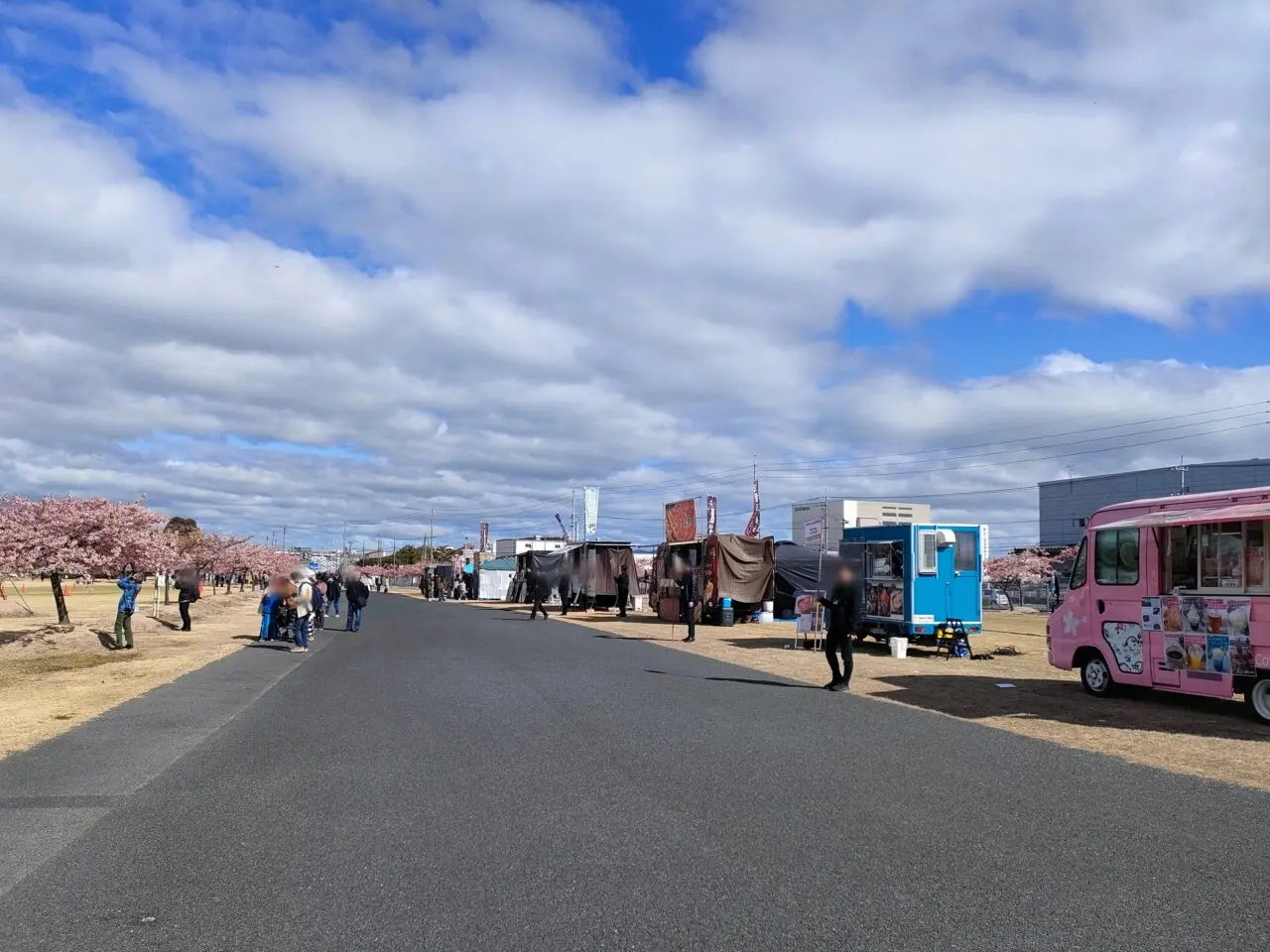 花回廊河津桜見学会