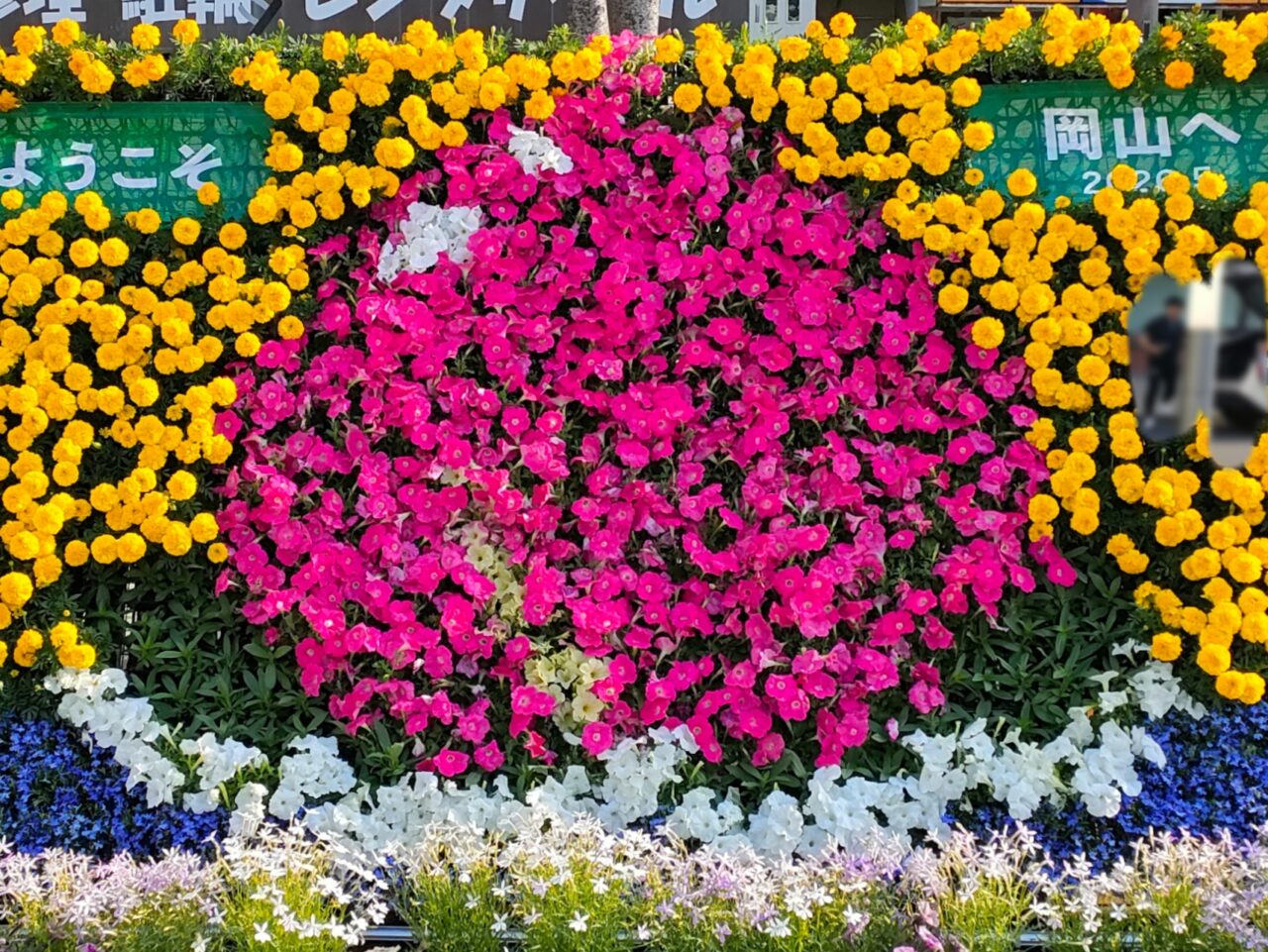 ウェルカム花壇
