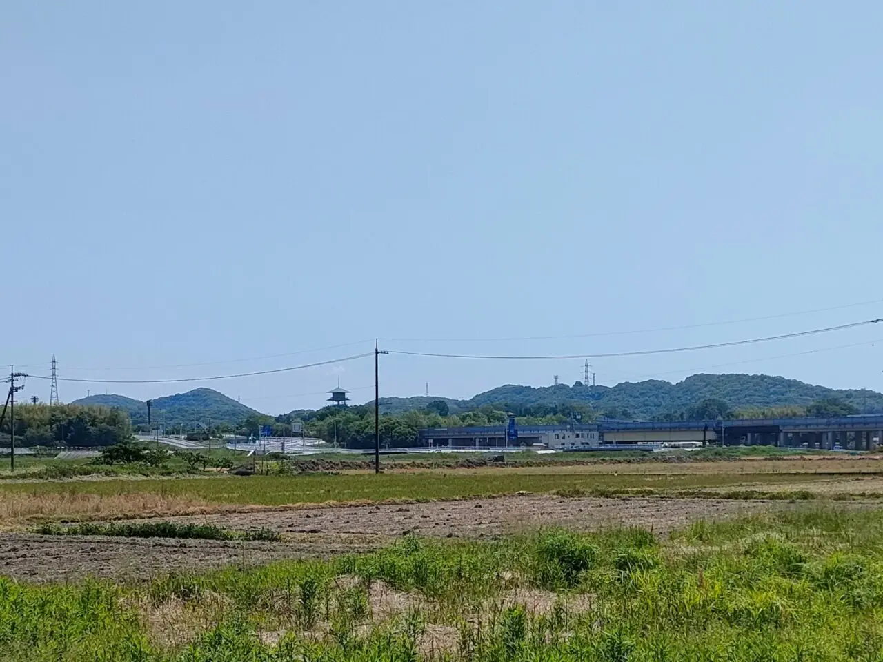 果実と氷研究所