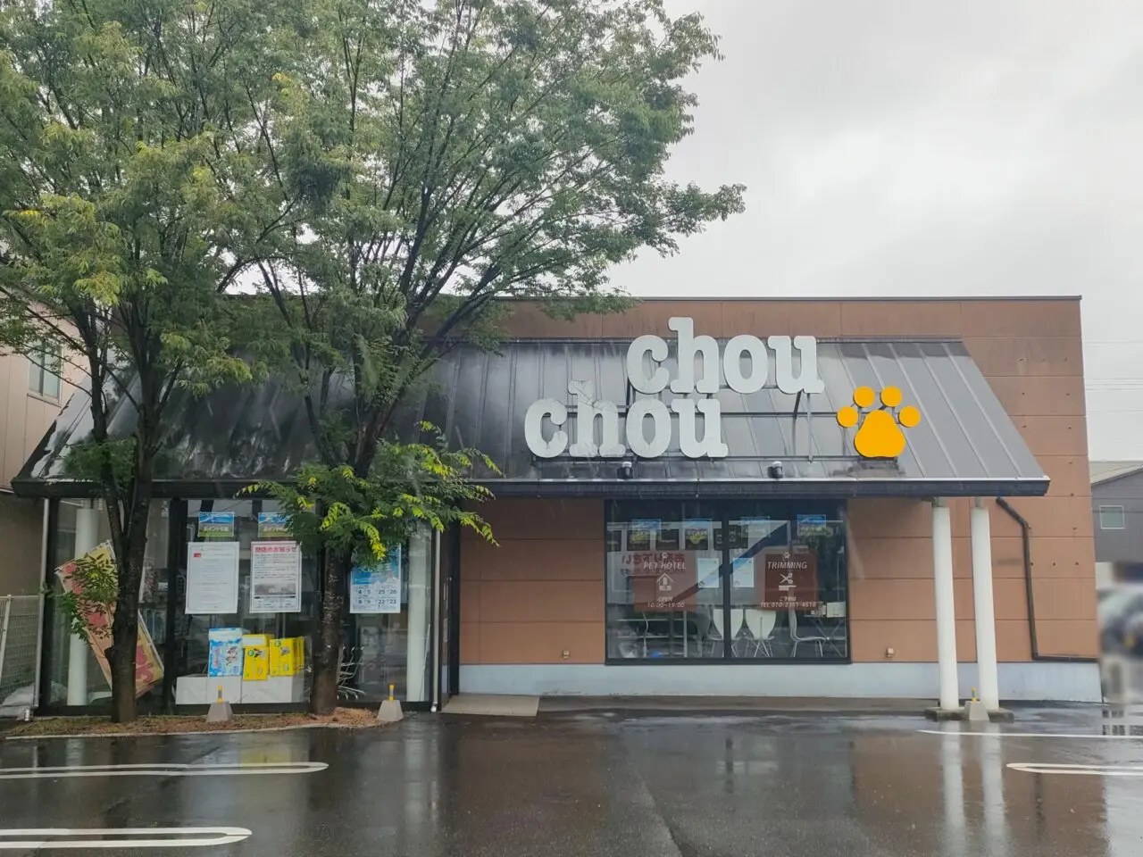 chouchou