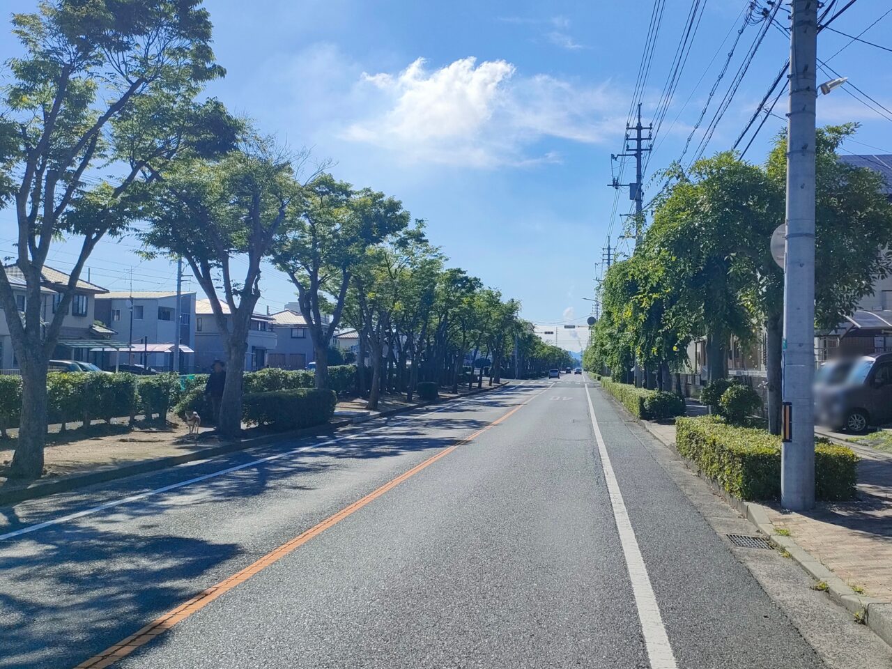 アビニヨン洋菓子店