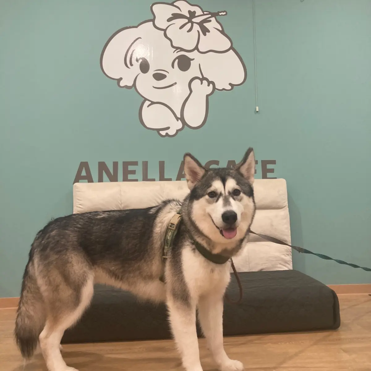 ANELLA CAFE(アネラカフェ)岡山妹尾店
