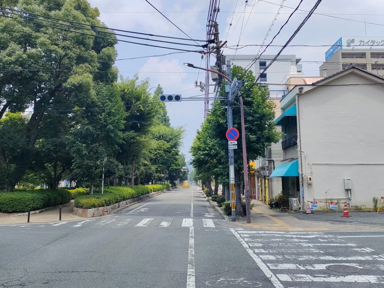 川魚問屋 光吉商店