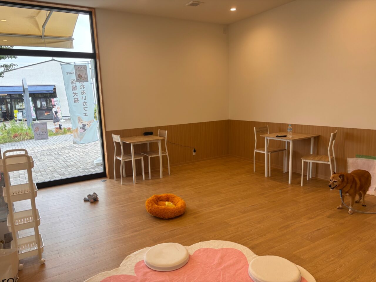 ANELLA CAFE