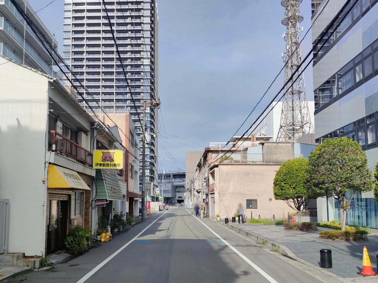 麺恋佐藤 カズキング店