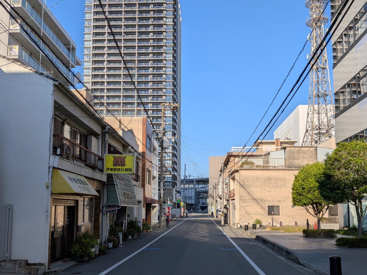 ラーメン かける家